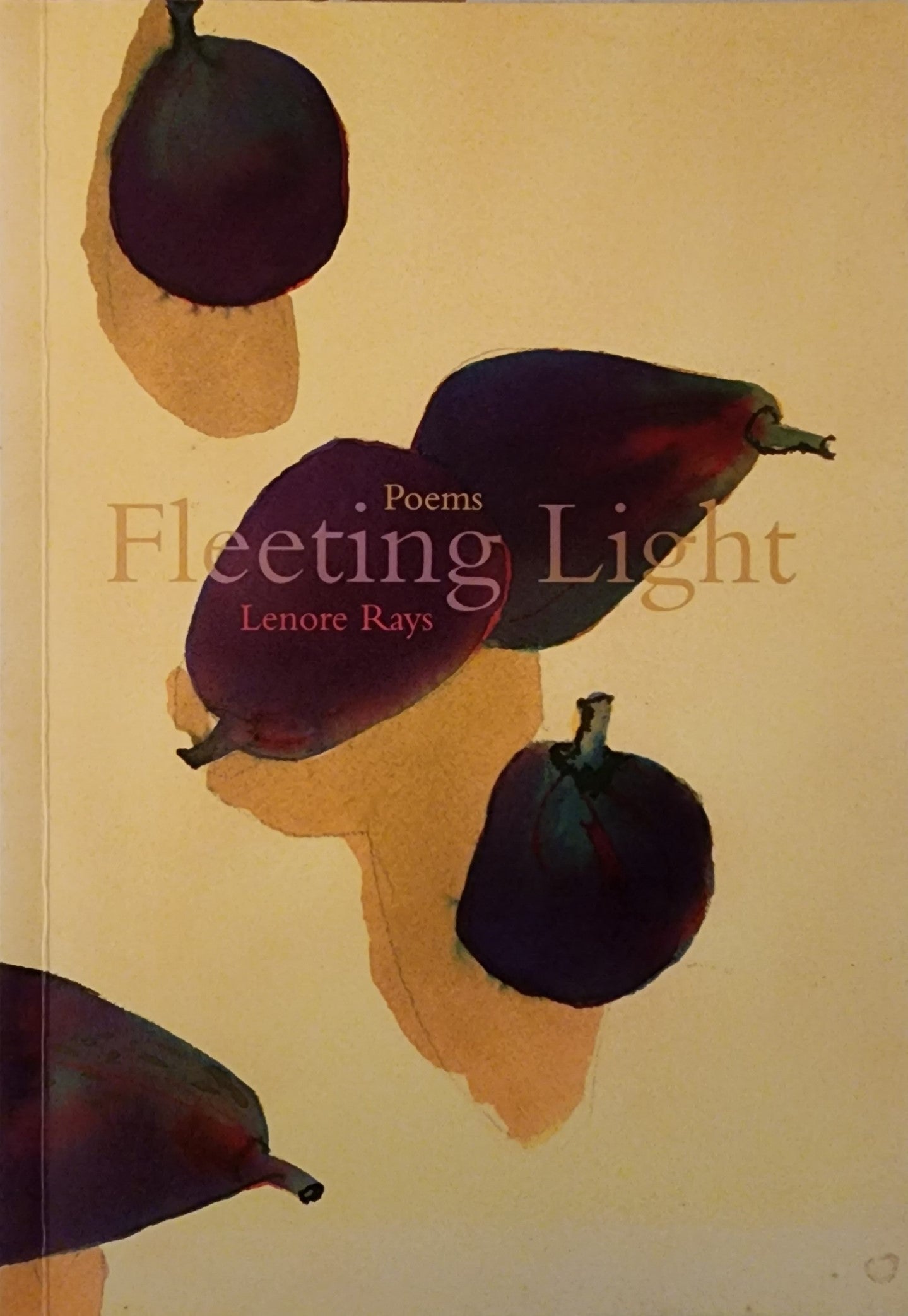 Fleeting Light