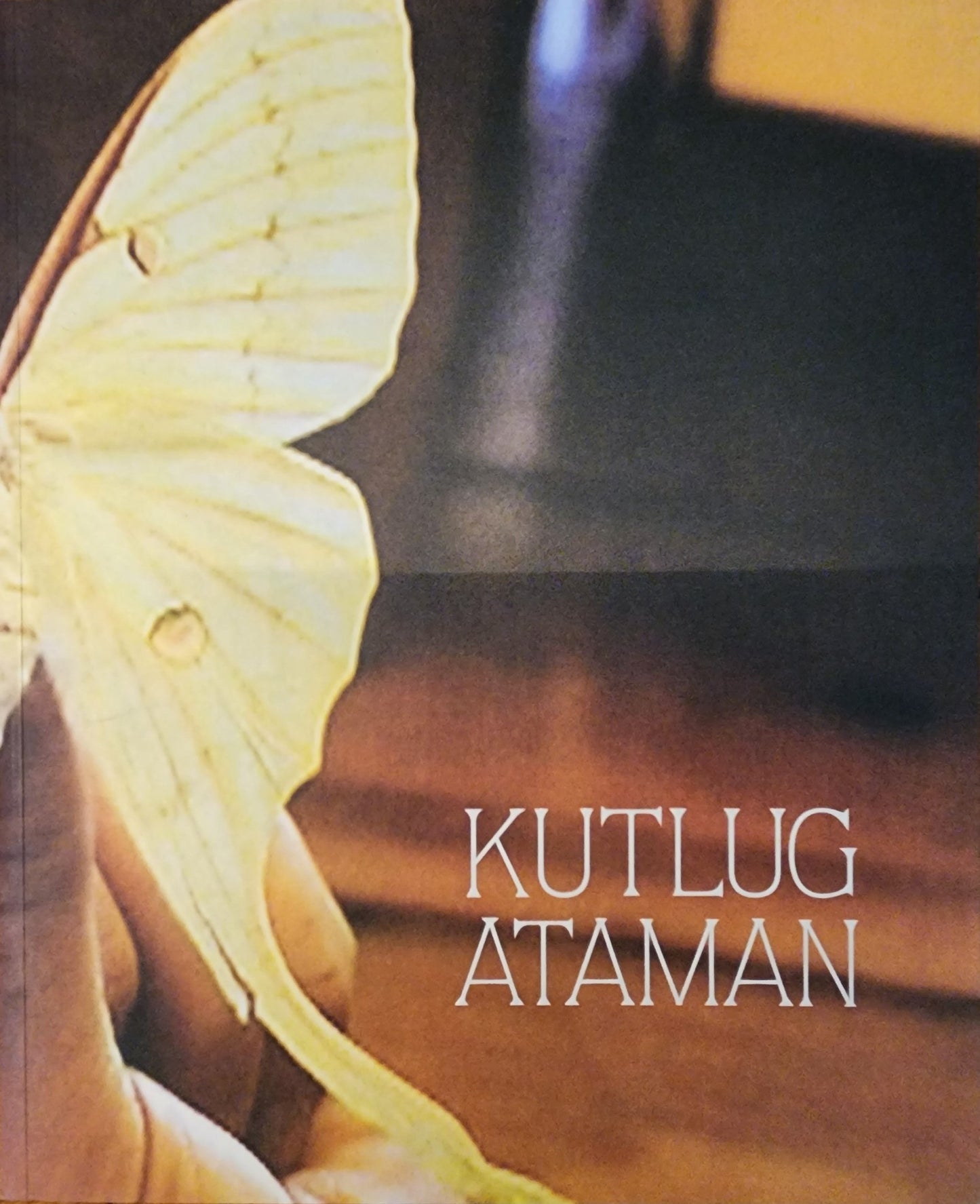 Kutlug Ataman: Perfect Strangers