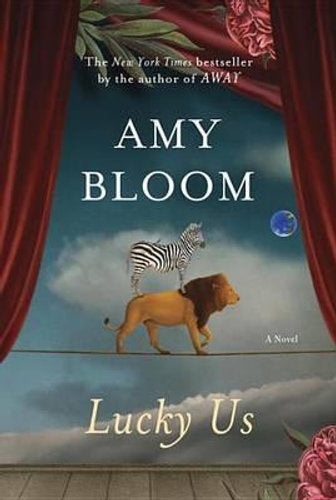 Lucky Us (Hardcover)
