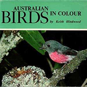 Australian Birds in Colour