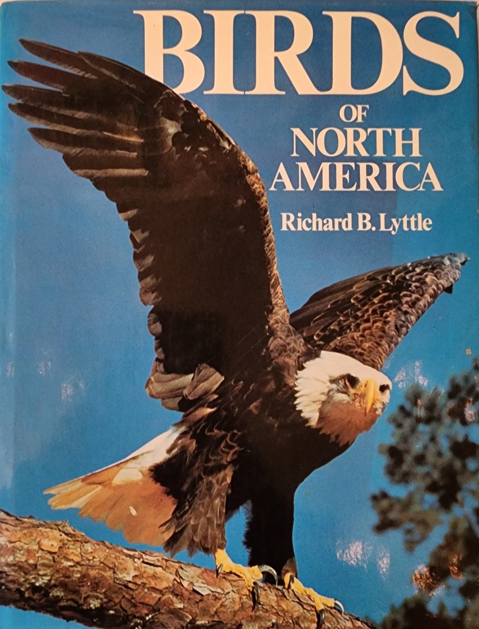 The Birds of North America (1983) – RoseyRavelston Books