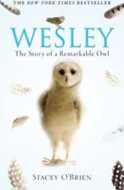 Wesley: The Story Of A Remarkable Owl