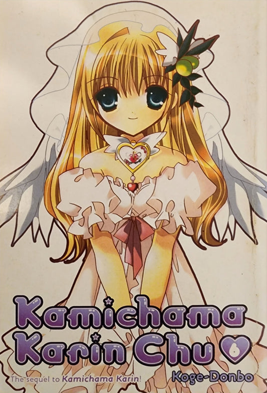 Kamichama Karin Chu, Vol. 06