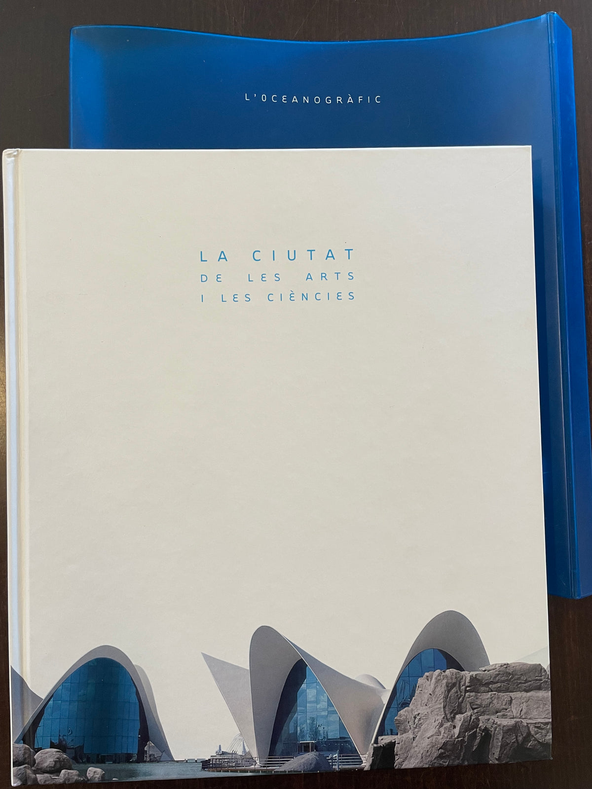 Ciudad De Las Artes Y Las Ciencias