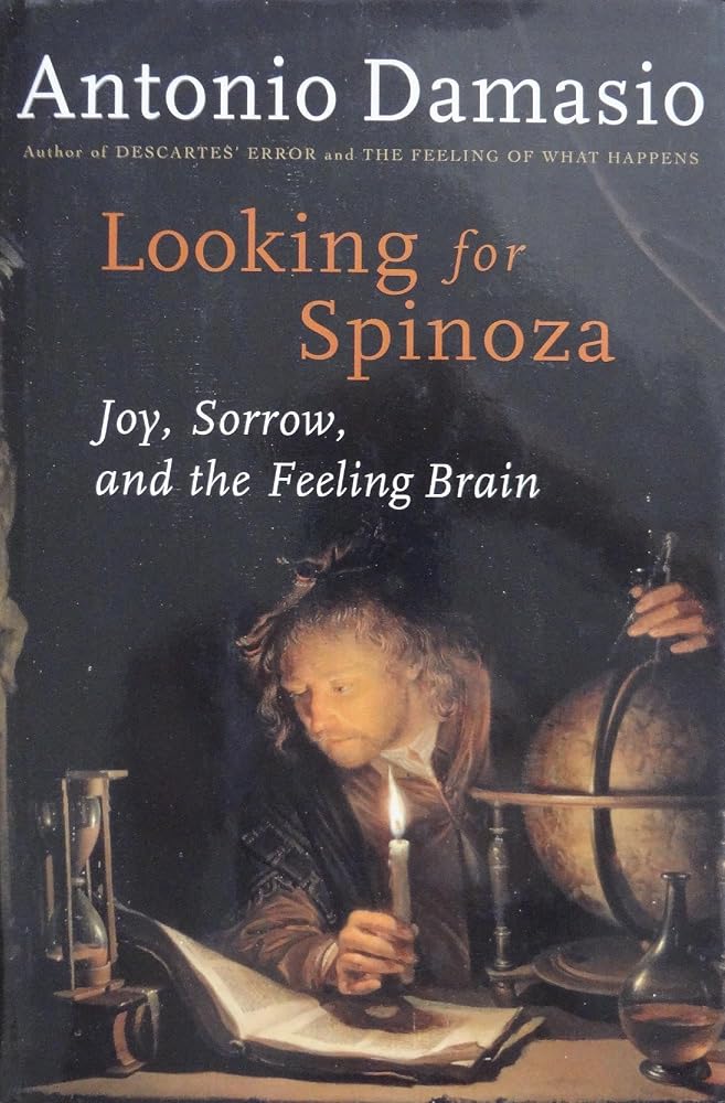 Looking for Spinoza: Joy, Sorrow, and the Feeling Brain cover image