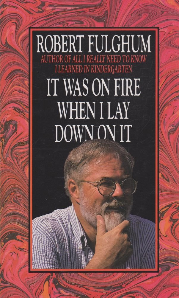 It Was on Fire When I Lay Down on it cover image