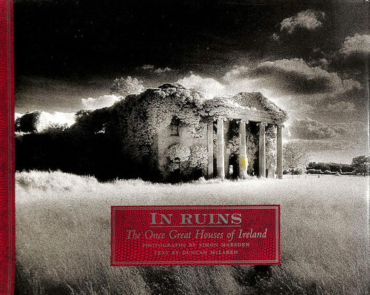 In Ruins: The Once Great Houses of Ireland cover image