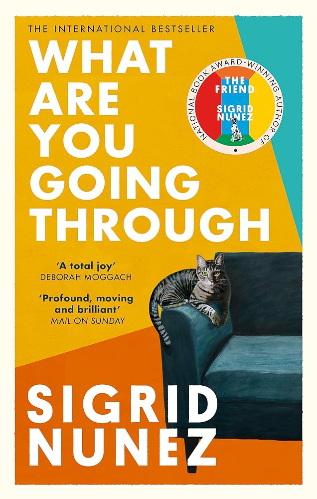 What Are You Going Through: Now a Pedro Almodovar film - THE ROOM NEXT DOOR cover image