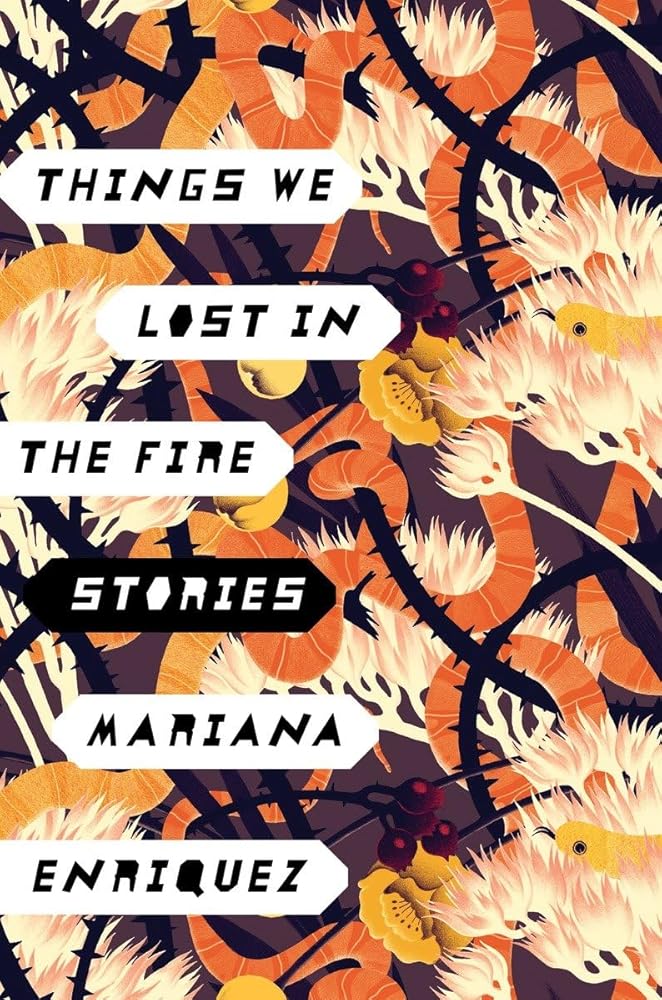 Things We Lost in the Fire: Stories cover image