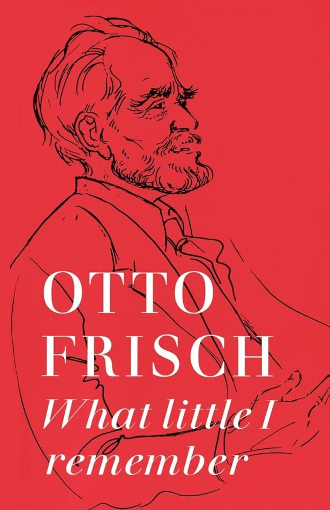 What Little I Remember cover image