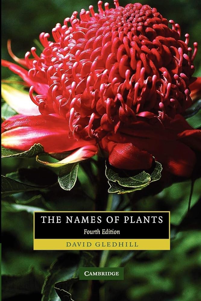 The Names of Plants cover image