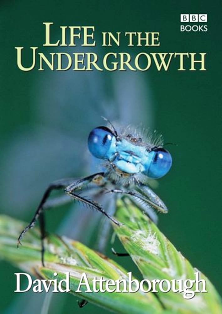 LIFE IN THE UNDERGROWTH cover image