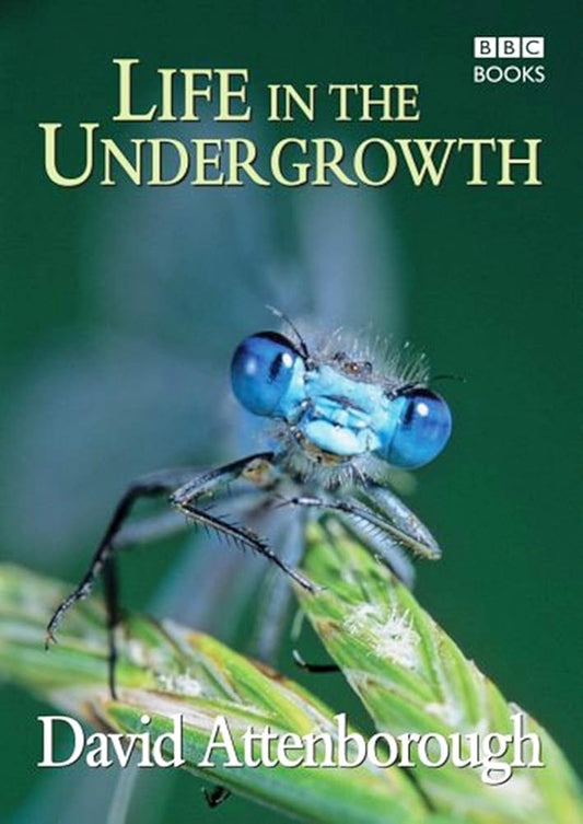 LIFE IN THE UNDERGROWTH cover image