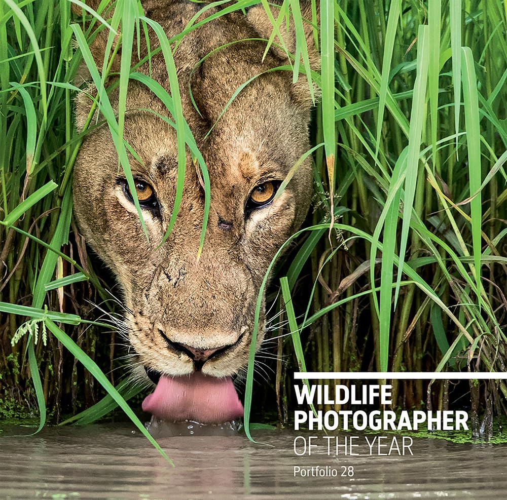Wildlife Photographer of the Year: Portfolio 28 cover image