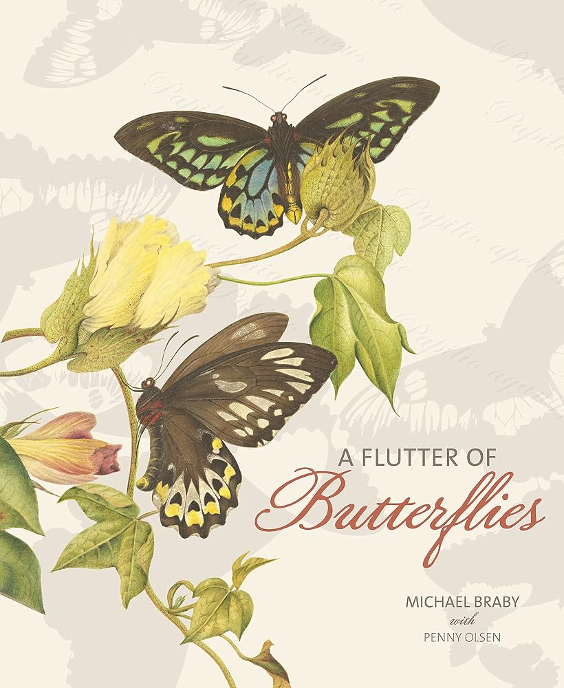 A Flutter of Butterflies cover image