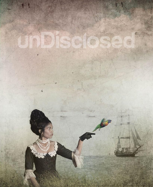 UnDisclosed: 2nd National Indigenous Art Triennial cover image