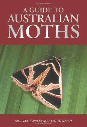 Guide to Australian Moths cover image
