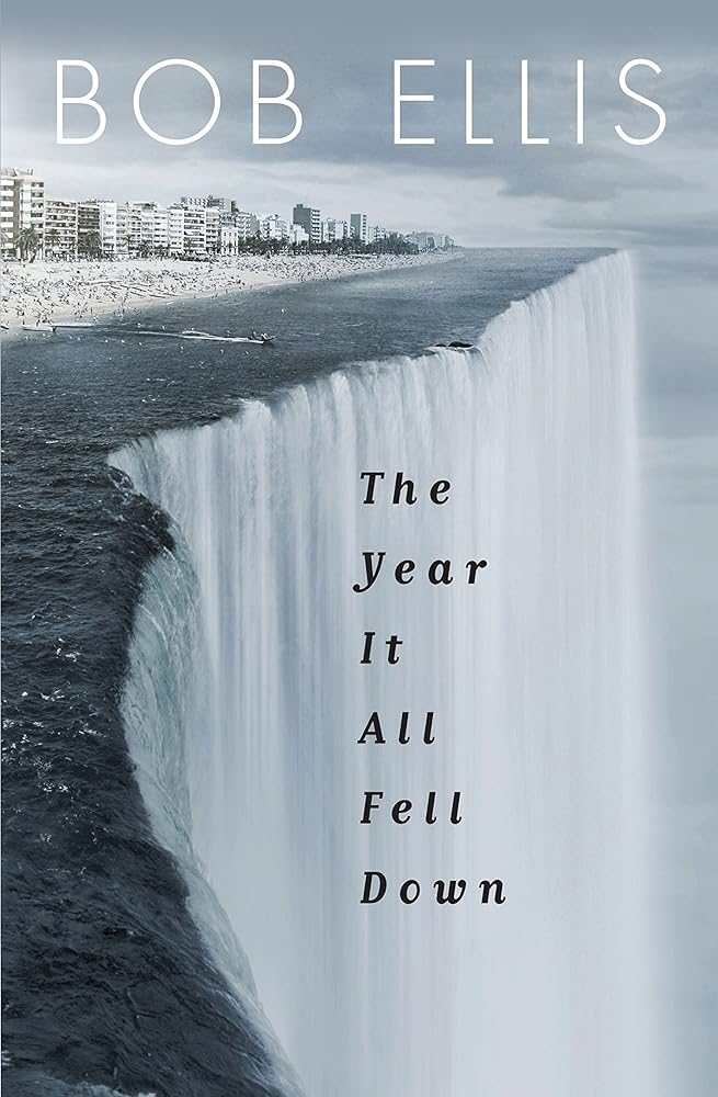 The Year it All Fell Down. cover image