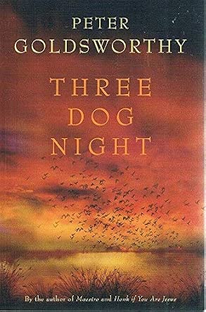 Novel cover image