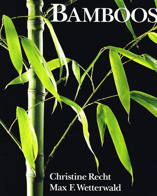 Bamboos cover image