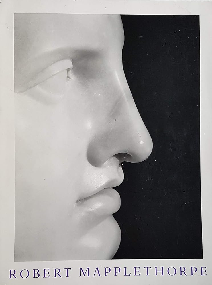 Robert Mapplethorpe cover image