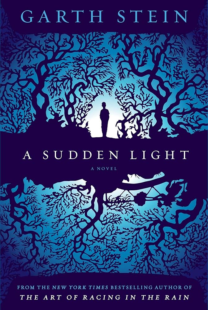A Sudden Light cover image