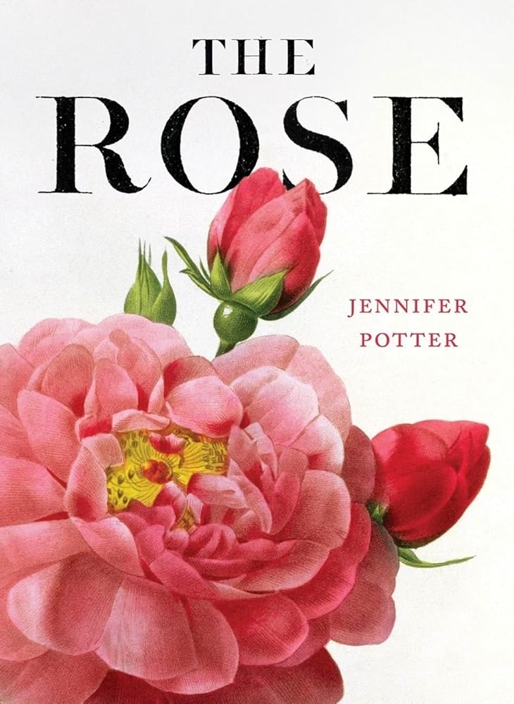 The Rose cover image