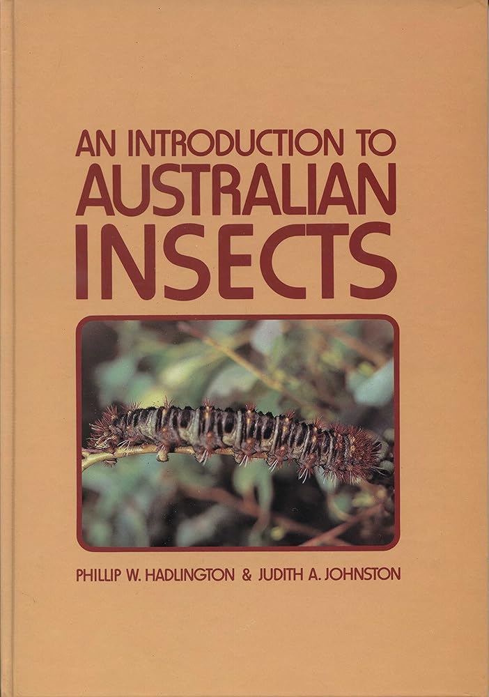 Introduction to Australian Insects cover image