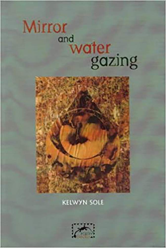 Mirror and Water Gazing cover image