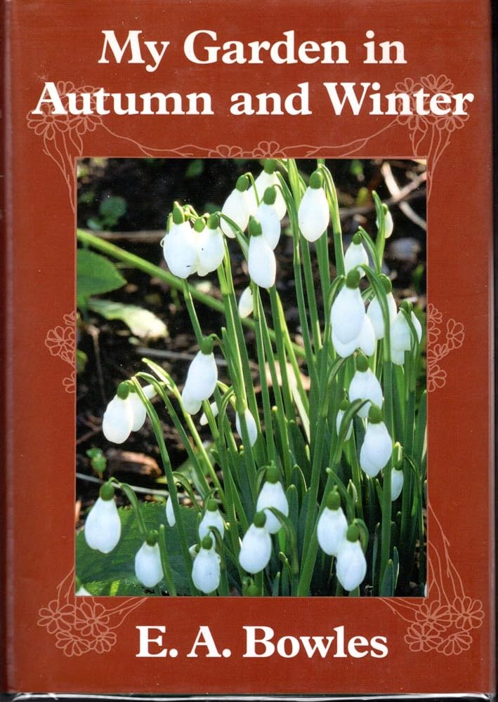 My Garden in Autumn and Winter cover image