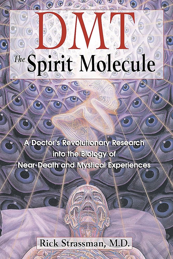 DMT: The Spirit Molecule: A Doctor's Revolutionary Research into the Biology of Near-Death and Mystical Experiences cover image