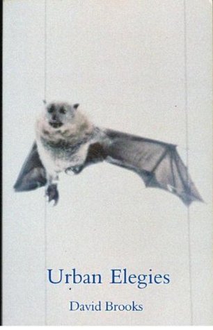 Urban Elegies cover image