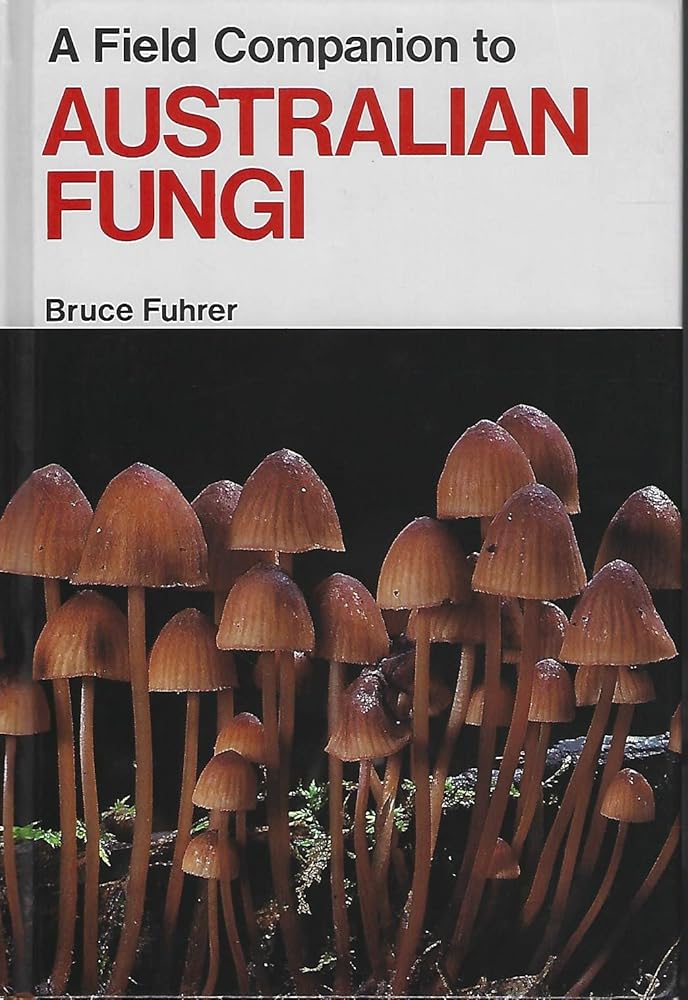 A field companion to Australian fungi cover image
