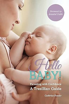 Hello Baby: Parenting with Confidence: A Tresillian Guide cover image