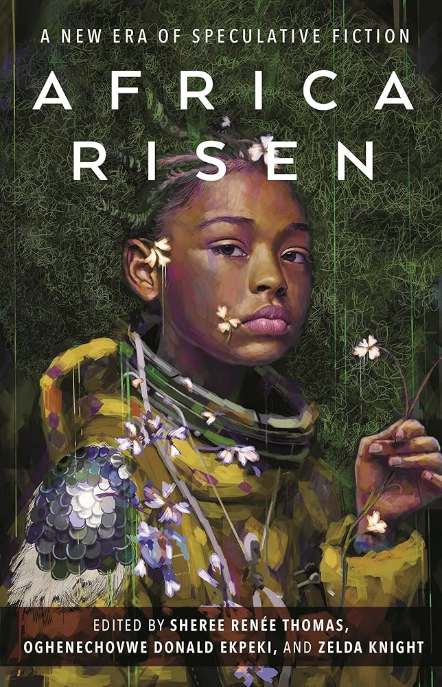 Africa Risen cover image