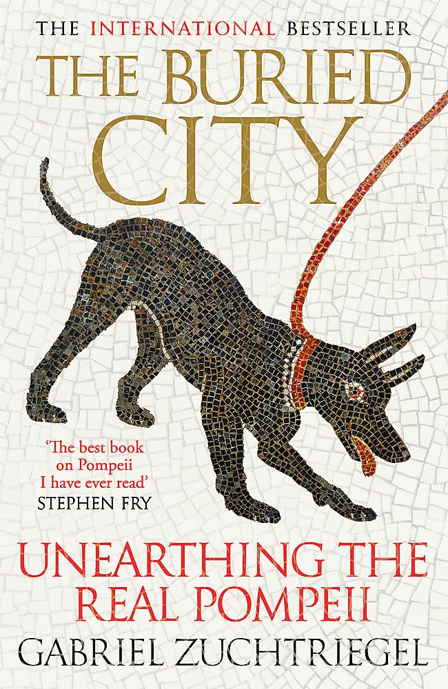 The Buried City: Unearthing the Real Pompeii cover image