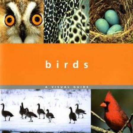 Macmillan Visual Guide: Birds