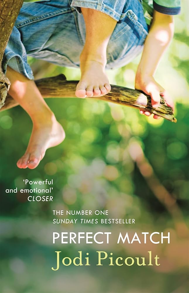 Perfect Match: the international bestseller about the strength of a mother's love cover image