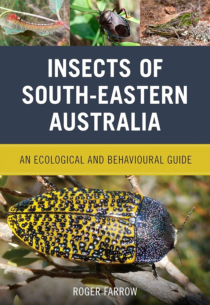 Insects of South-Eastern Australia: An Ecological and Behavioural Guide cover image