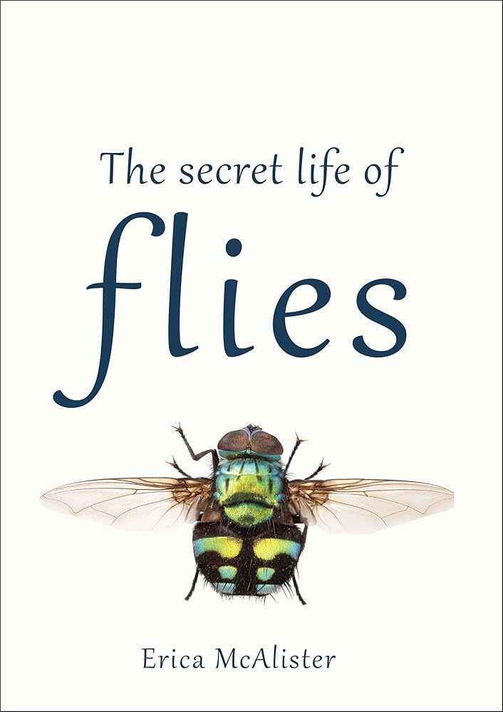 The Secret Life of Flies cover image