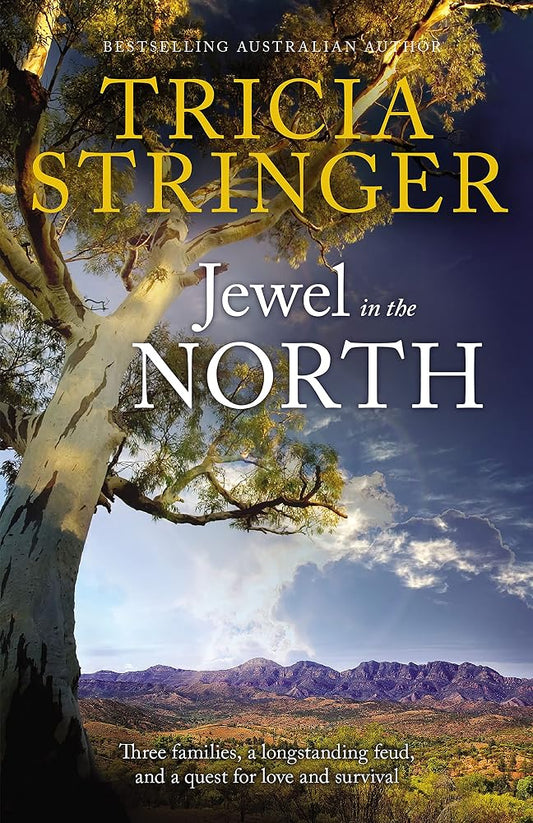 Jewel In The North cover image