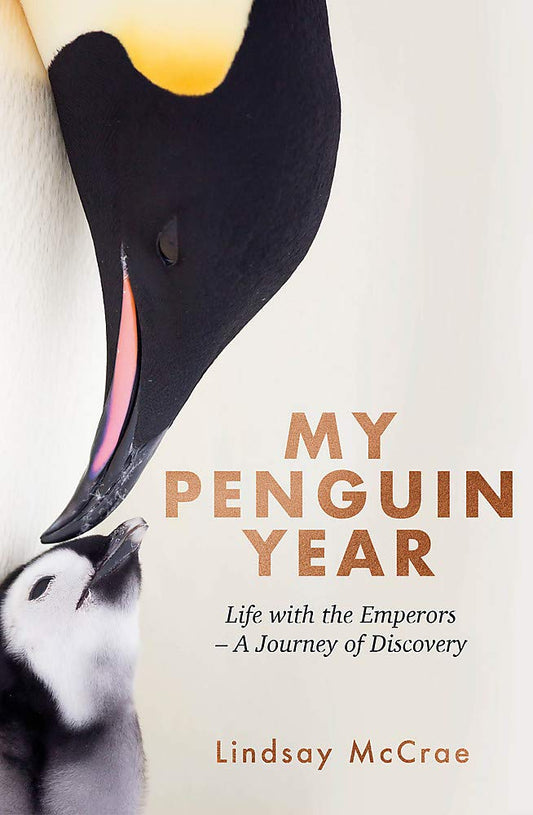 My Penguin Year EXPORT cover image