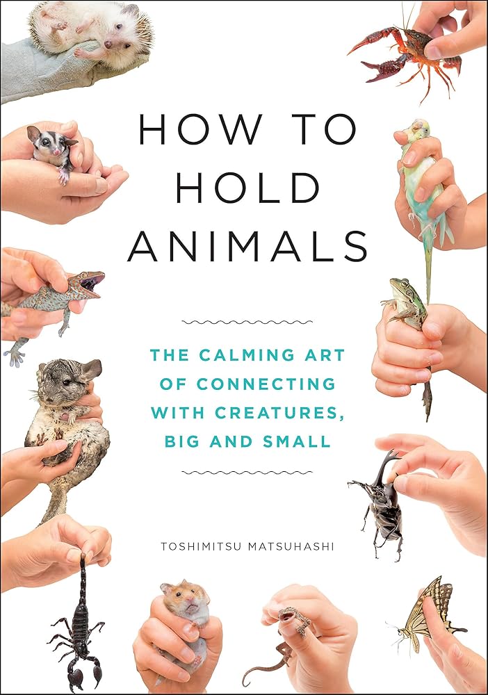 How to Hold Animals cover image