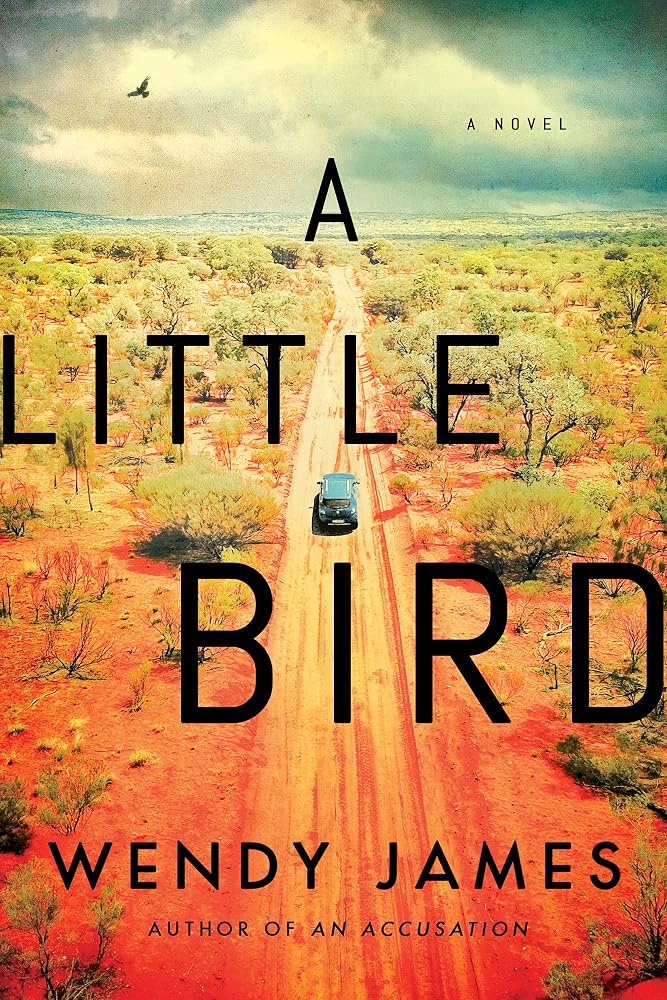 A Little Bird: A Novel cover image