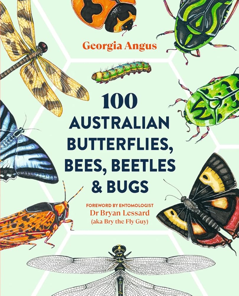 100 Australian Butterflies, Bees, Beetles & Bugs cover image