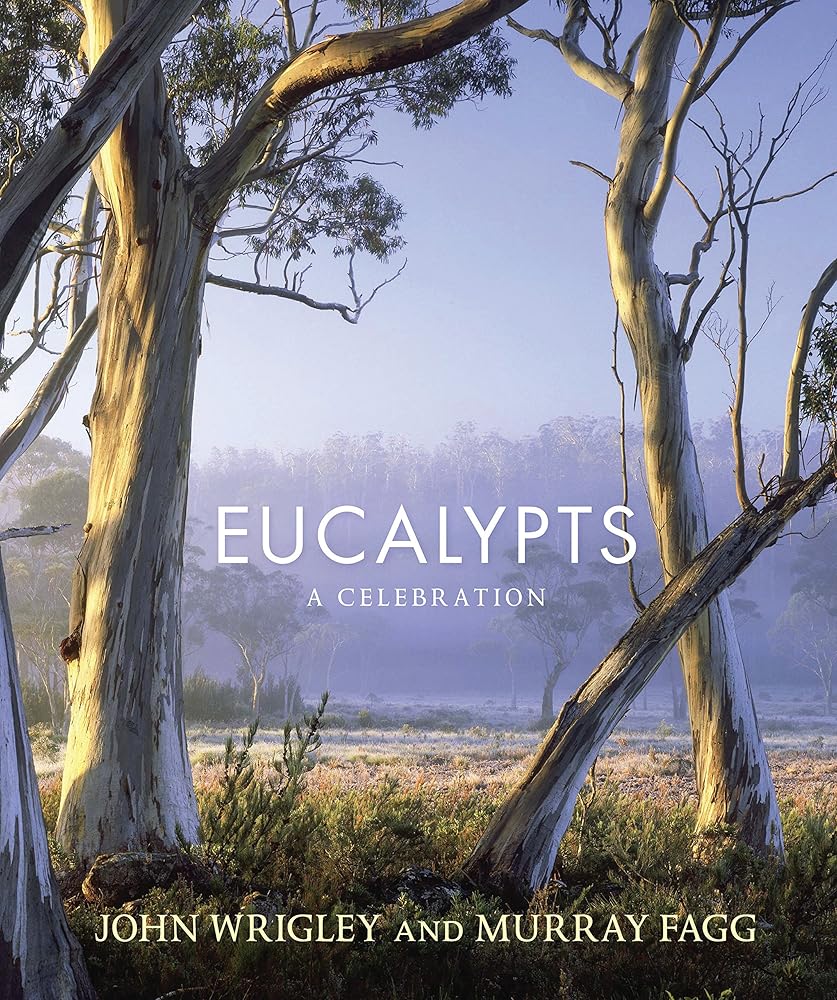 Eucalypts: A Celebration cover image