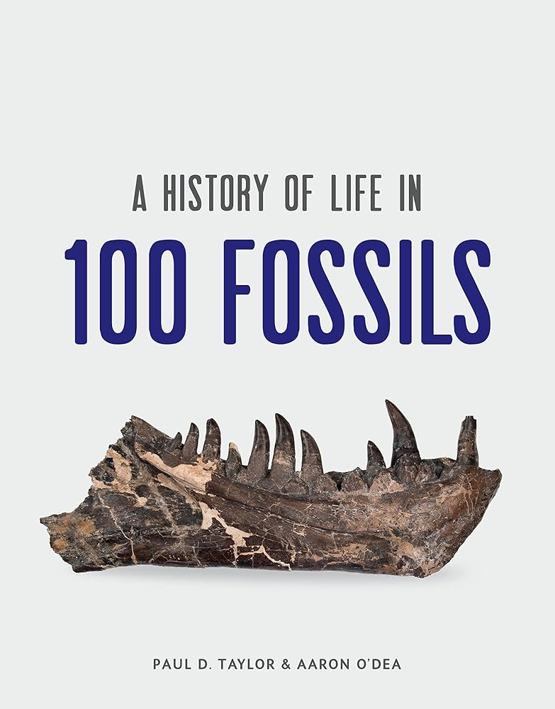 A History of Life in 100 Fossils cover image