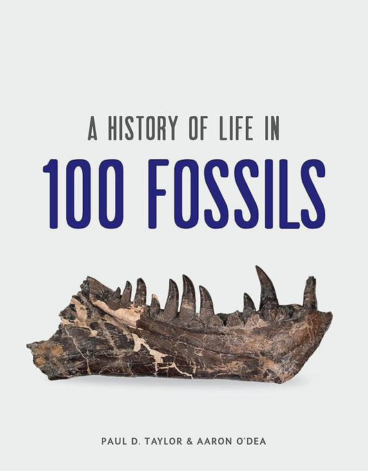 A History of Life in 100 Fossils cover image