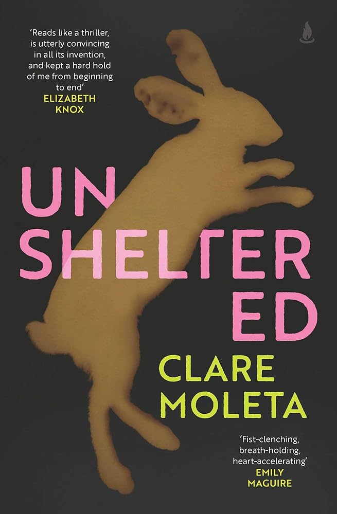 Unsheltered cover image