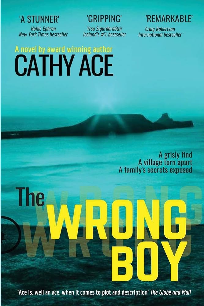 The Wrong Boy: Suspense-packed page turner...the ending is a stunner cover image